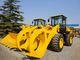 ISO 9000 Certified Heavy Equipment Dump Truck 5 Ton Wheel Loader With Wood Grab