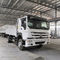 Sinotruk HOWO Light Duty 4x2 Heavy Cargo Truck 290HP Box Truck Lorry Van Goods